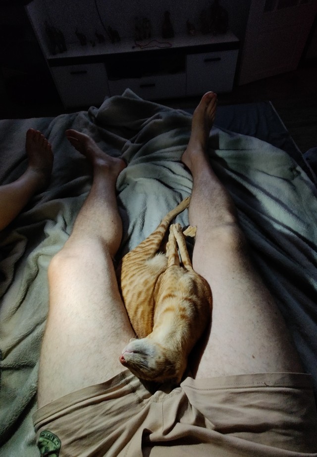 Начинаем котофторник?