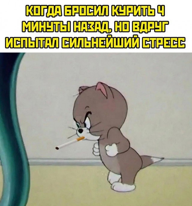 Всего понемногу. От 17.01.24
