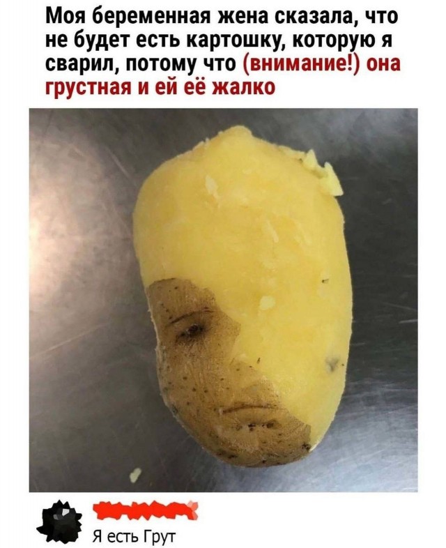 Тлидцать тли от 6 февраля
