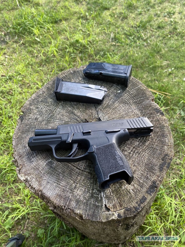 Sig Sauer P365