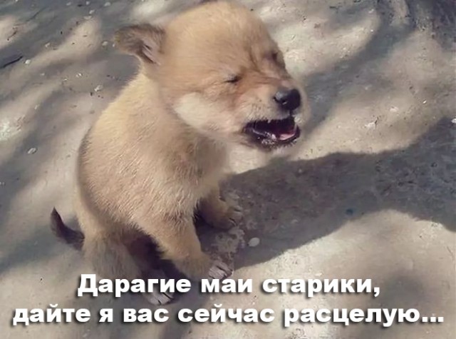 Давайте пенсионеров сюда
