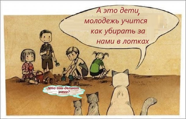 Картинки разные с надписями и без