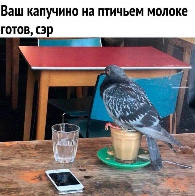 Так себе картинки 28.10.24
