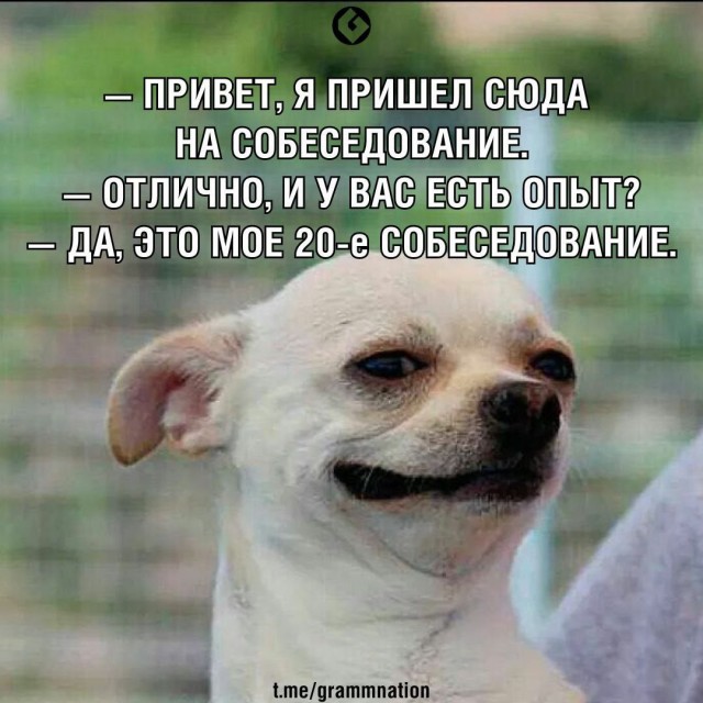 Картинки всякие