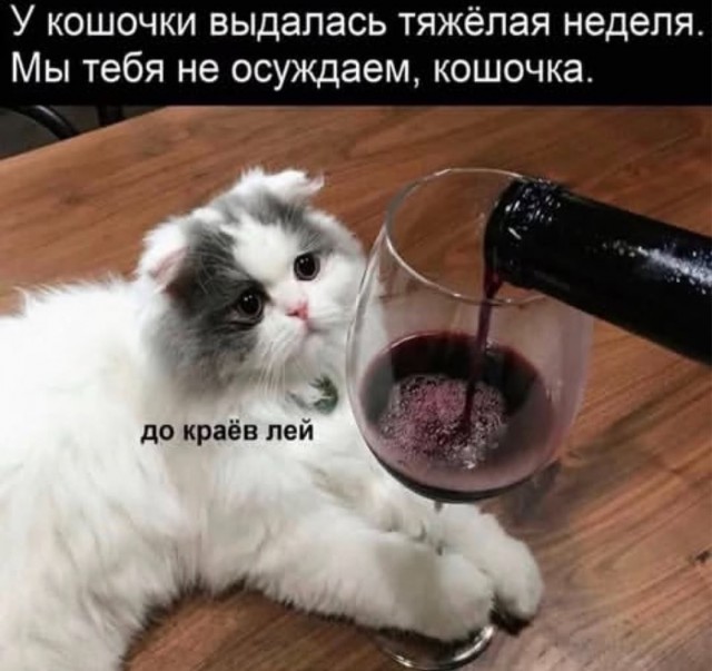 Быстрая деградация