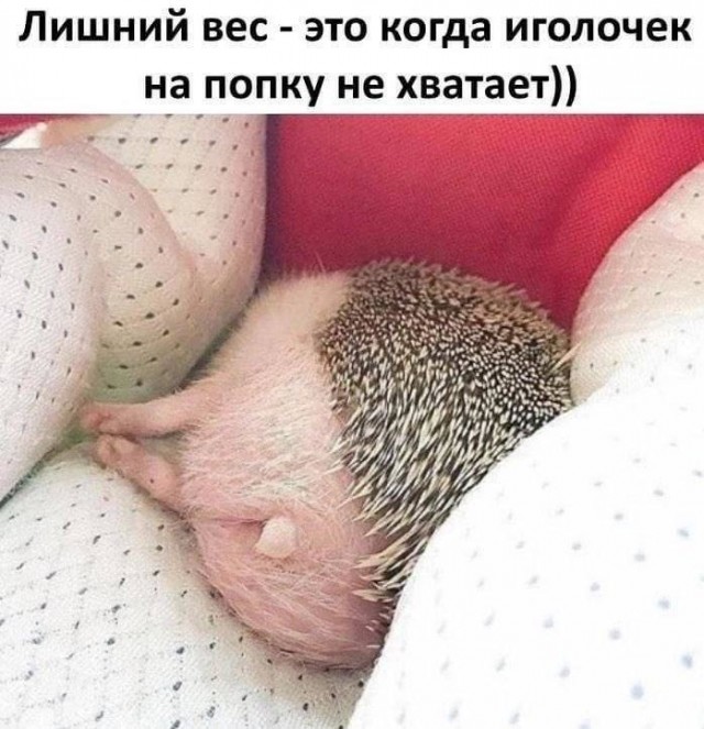 Сброс балласта. Картинки