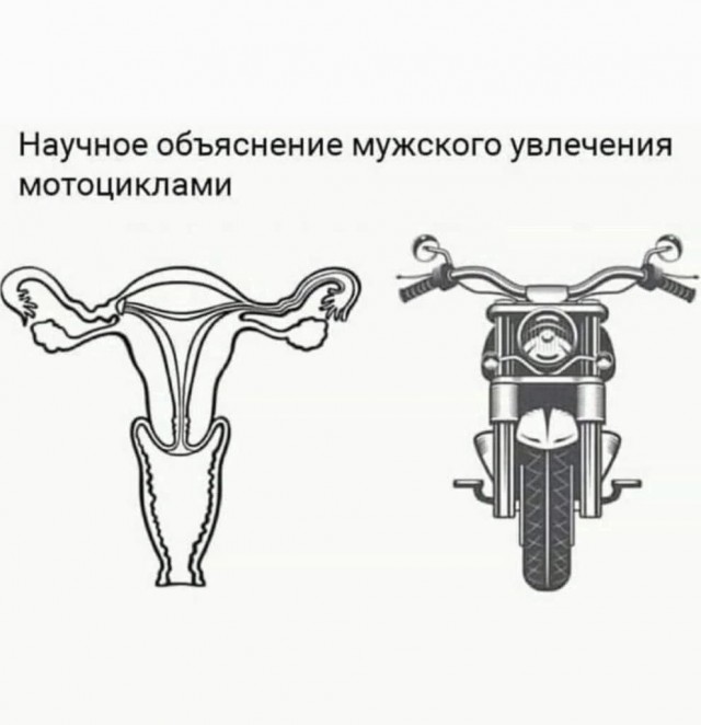 50 пятничных картинок