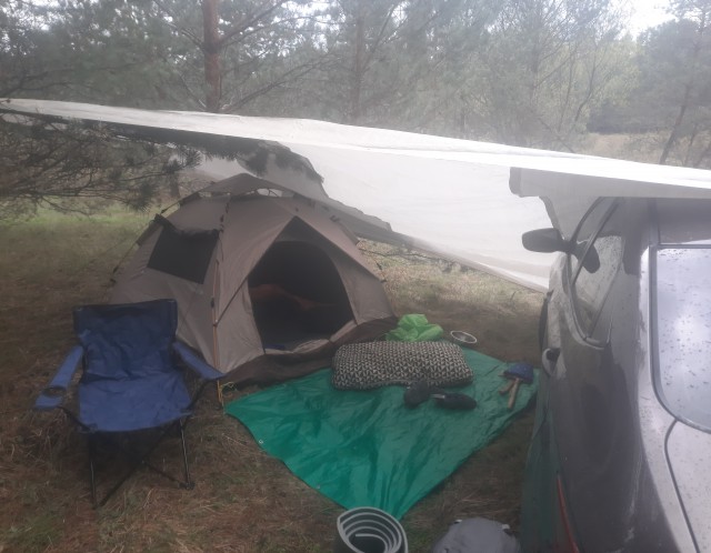 Всё начиналось хорошо