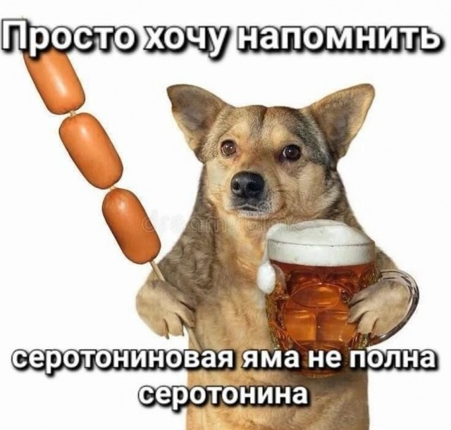 Веселое настроение в картинках (28.09.2025)