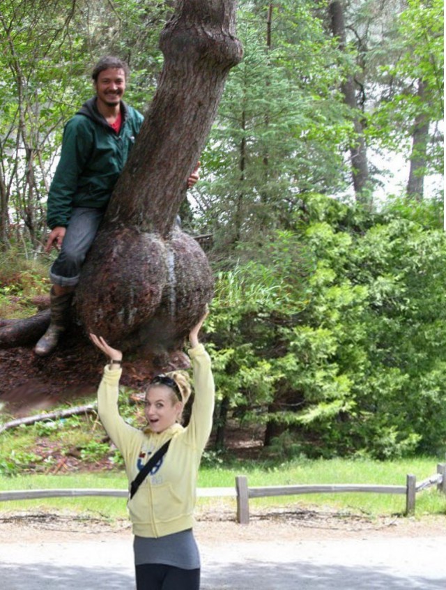 Пошлый и взрослый юмор #3