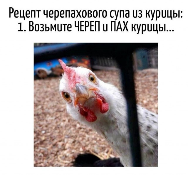 Картинки для деградации 71 (разной степени свежести)