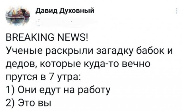 Веселые картинки в понедельник (10.11)