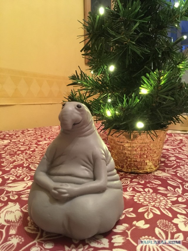 (.)(.)