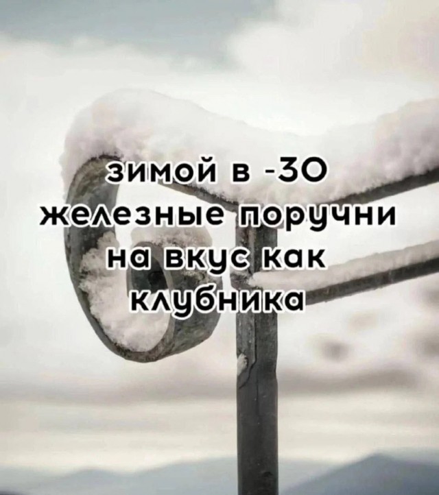 Картиночки, баянчики 04 января