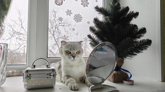 Котовторника псто