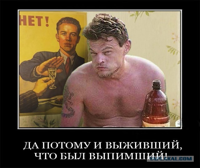 Пить или не пить - вот в чём вопрос