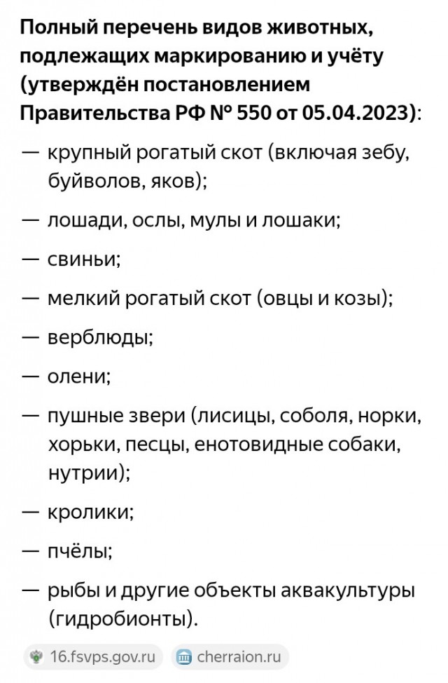В России вводят маркировку домашней птицы