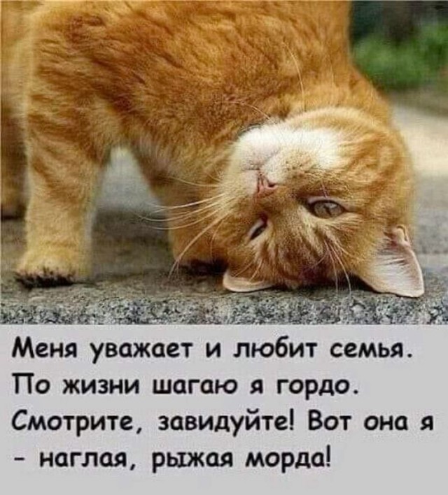 Прикольные и просто красивые картинки 01.09.2026
