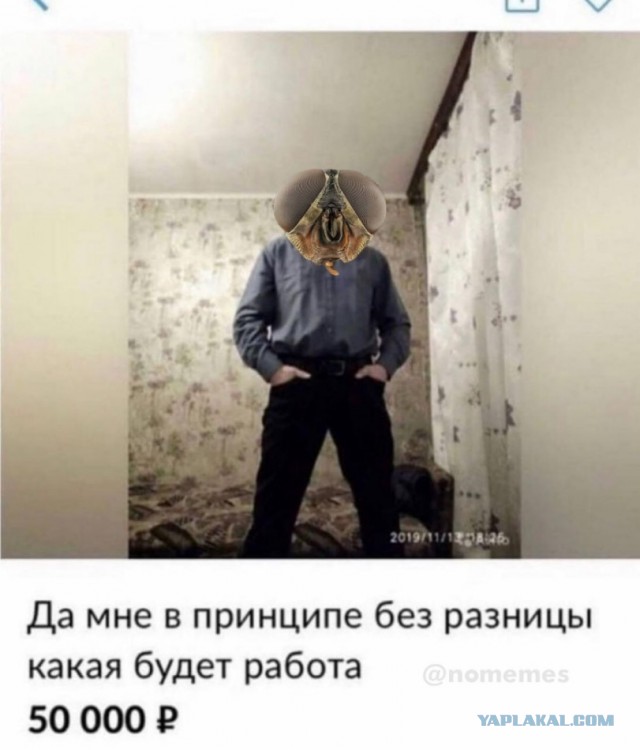 11 сентября это звучит ещё страшнее