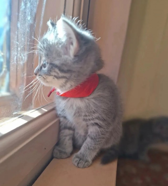 Скиньте рандомную хрень