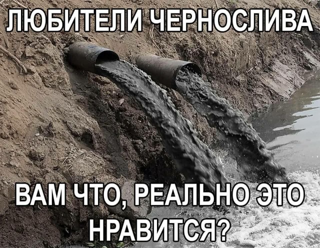 Картинки для деградации 307 (разной степени свежести)