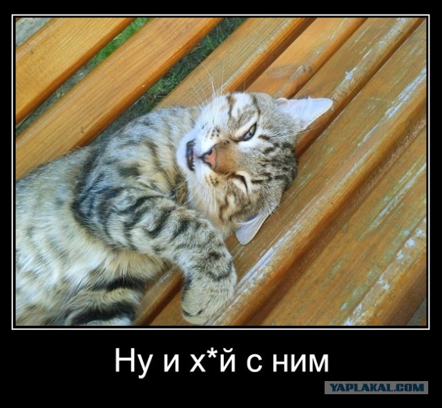 вКОТакте