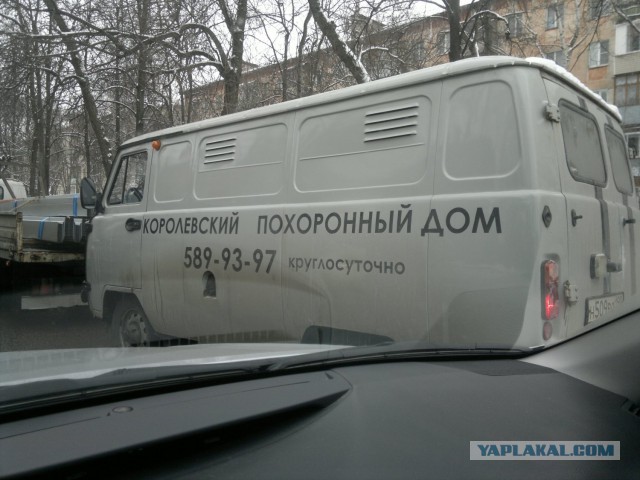 Маразмы месяца