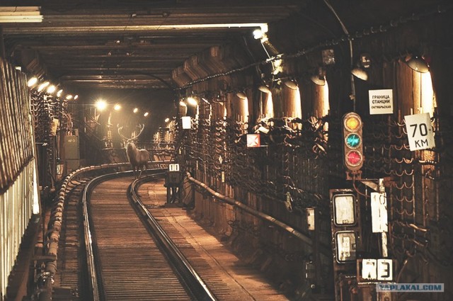 По нижегородским тоннелям метро