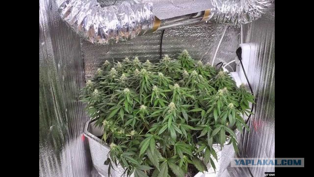 Откровения бывшего торговца смертью
