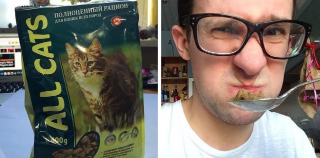Редактор BuzzFeed попробовал 12 кошачьих кормов ради статьи