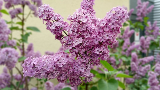 Кухня (кулинарное и околокулинарное общение)