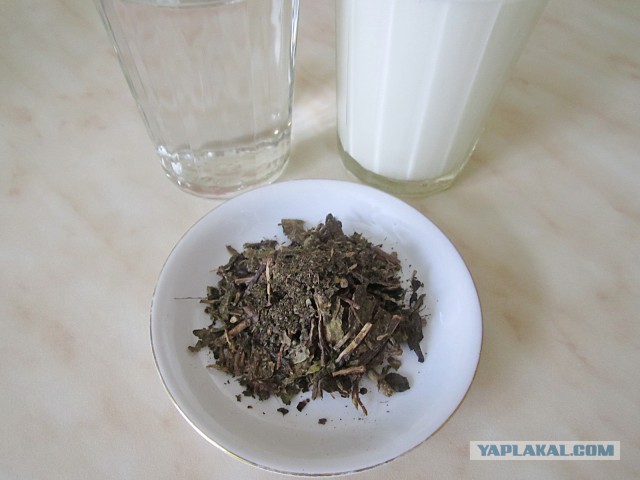 Мировая кулинария. День повара