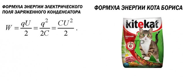 Маразмом по понедельнику