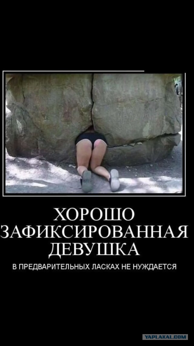 Подборка интересных и веселых картинок
