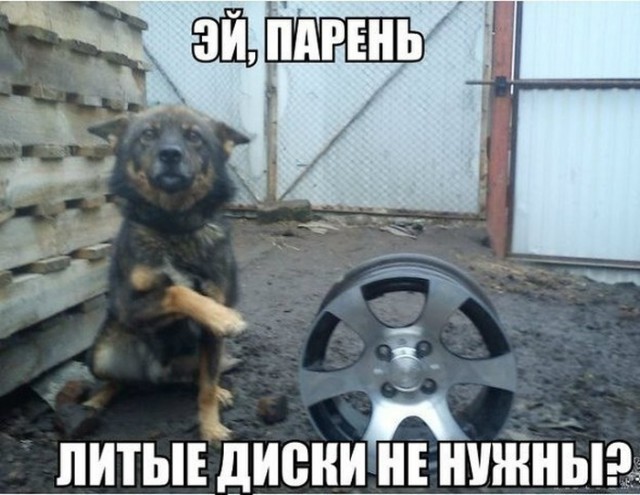 Подборка интересных и веселых картинок
