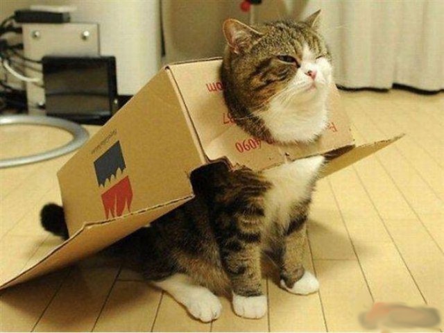 Порция воскресных картинок