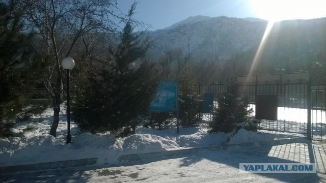 г.Алматы на фоне гор.