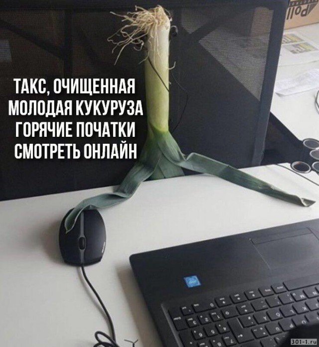 ������� �� ������ �������� ������, ����� ���� ���� ������