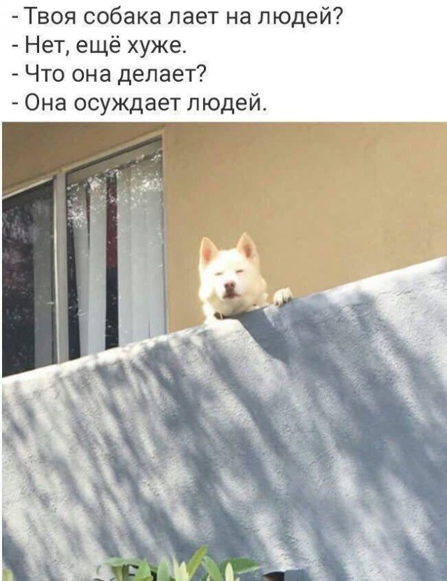 Ну что, работу работаем? А кто картинки кто смотреть будет!?