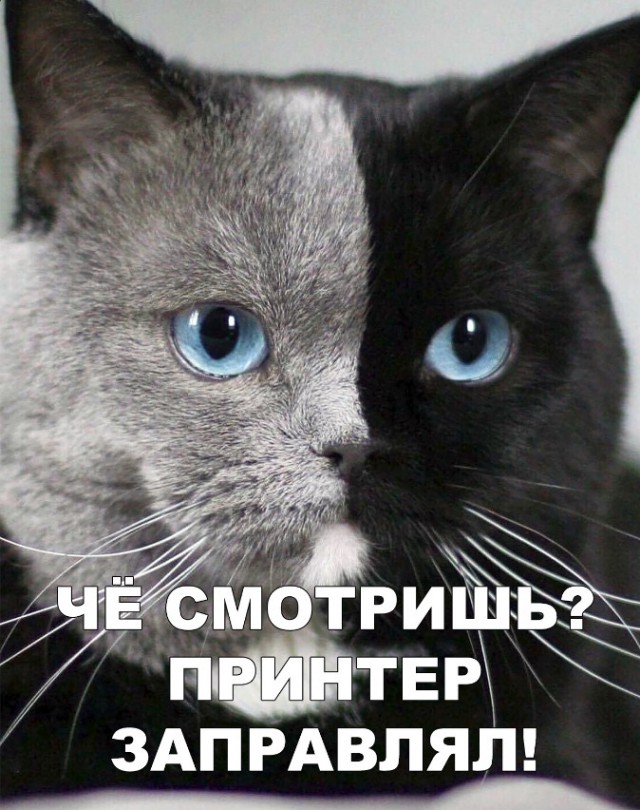 Нестандартный юмор