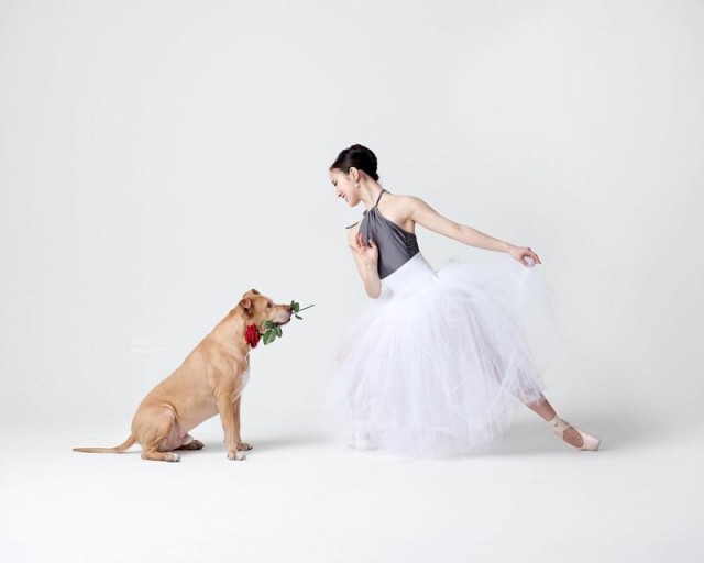 Фотоподброка на воскресенье 03.11.2019