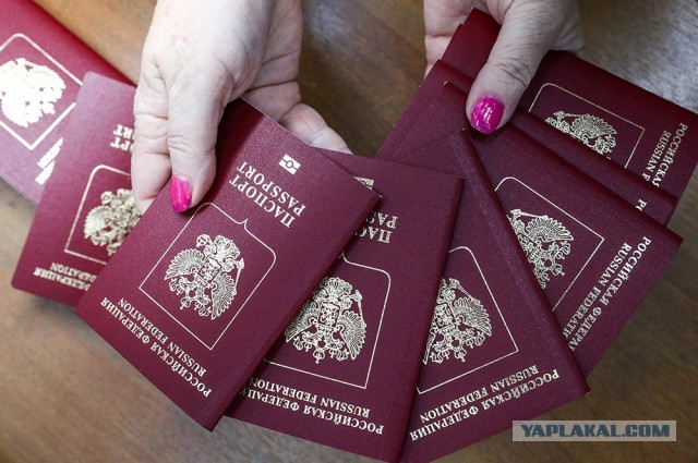 Россия опустила на границах «железный занавес» для обладателей двойного гражданства и ВНЖ