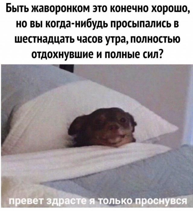 Немного картинок для настроения 06.05.20
