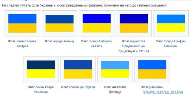 Президенты Украины, Польши, Латвии, Литвы и Эстонии подписали декларацию о сотрудничестве и демократических устремлениях