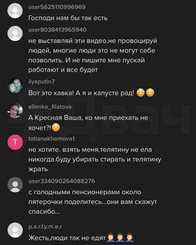 "Собаки питаются лучше людей!" Видео ужина породистых питомцев возмутило сеть.