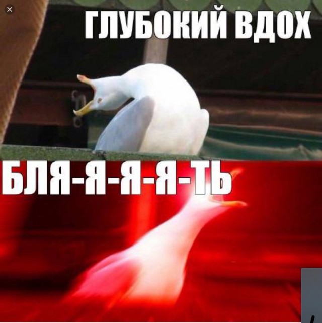 Немного картинок
