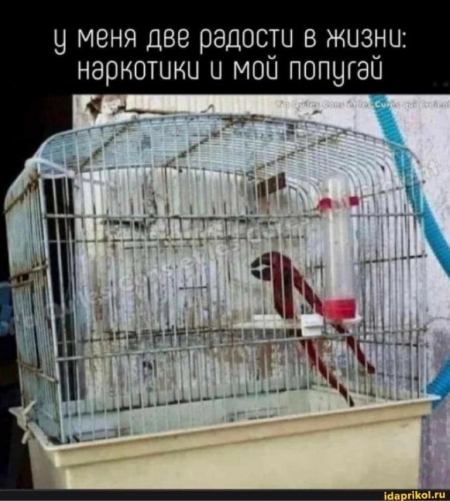 Хотел по хозяйству поработать, сантехника. Такой херни ни разу не видел