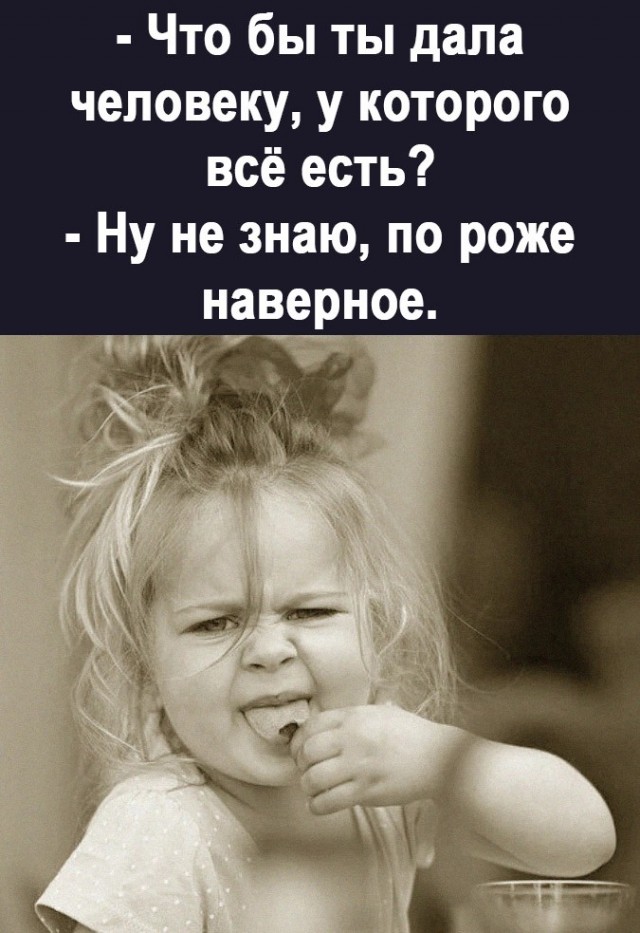 17036878.jpg