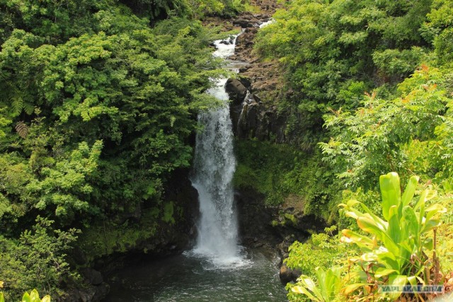 Путешествие на Гавайи