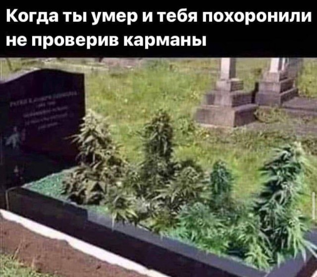 Картинки всякие, развесёлые и не очень.